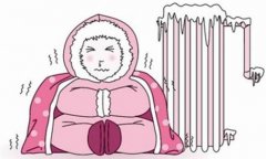 集中供暖暖氣不熱是什么原因？